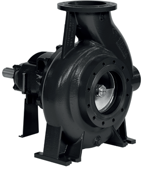 Elettropompe per drenaggio