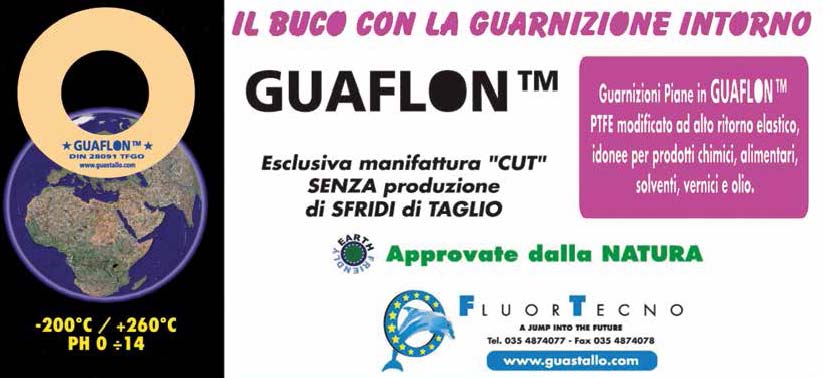 Guarnizione in PTFE Guarnizione in PTFE