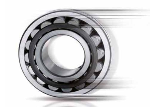 Prodotti per la trasmissione del moto