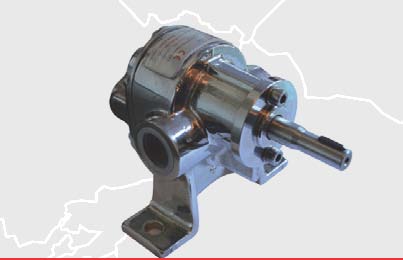 Pompe con tenuta meccanica